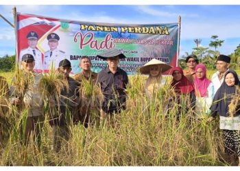 Bupati Natuna Hadiri Panen Padi Perdana di Kecamatan Serasan Timur