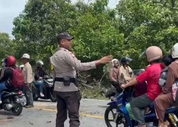 Cekatan, Bhabinkamtibmas Desa Busung Polsek Bintan Utara, Potong Pohon Tumbang Yang Menghalangi Arus Lalulintas Jalan Raya