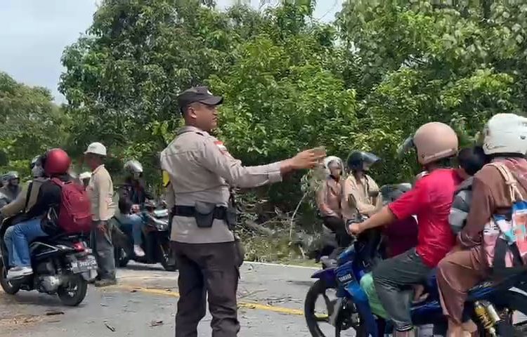Cekatan, Bhabinkamtibmas Desa Busung Polsek Bintan Utara, Potong Pohon Tumbang Yang Menghalangi Arus Lalulintas Jalan Raya