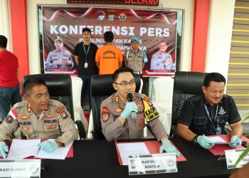 Tanam Pohon Ganja, Pelaku Ditangkap oleh Satres Narkoba Polres Bintan