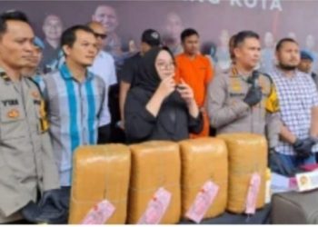 42 Kilogram Gram Ditangkap Polresta Malang, Jaringan Aceh