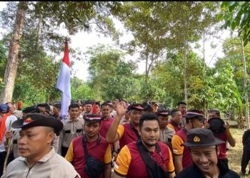 Bendera Merah Putih Dikibarkan di Puncak Gunung Bintan