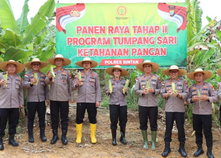 Dukung program presiden, Polres Bintan kembali Panen raya Jagung Tahap kedua