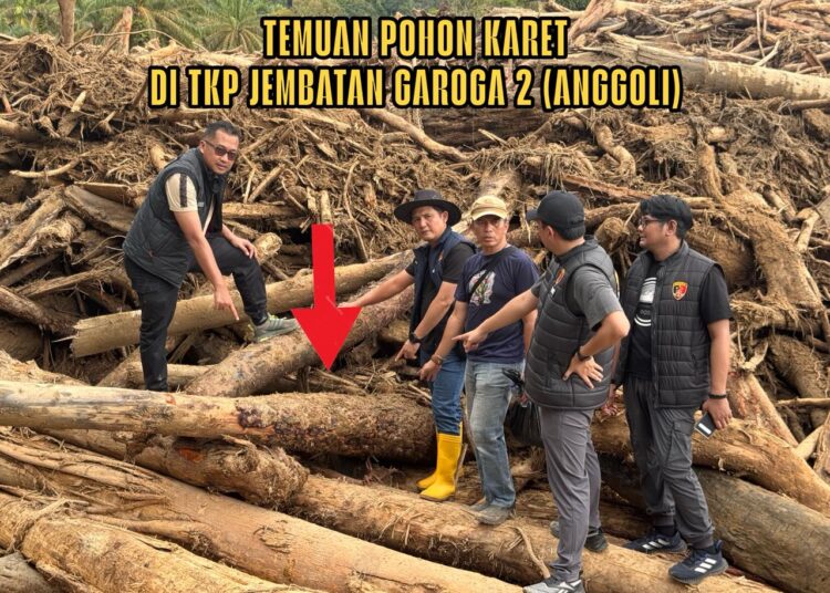 Bareskrim Polri Kirim Tim Selidiki Asal Usul Kayu Gelondongan Pascabanjir Sumatera