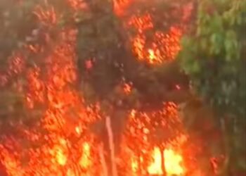 Karhutla Kembali Terjadi di Desa Sawang Selatan Kecamatan Kuba