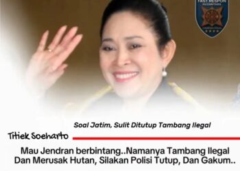 Tambang Ilegal Jawa Timur “Kebal Hukum”? Titiek Soeharto Tantang Aparat: Jangan Kalah oleh Bekingan Jenderal