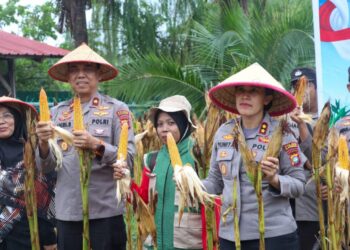 Panen Raya Jagung Serentak, Polres Karimun Dukung Ketahanan Pangan Nasional