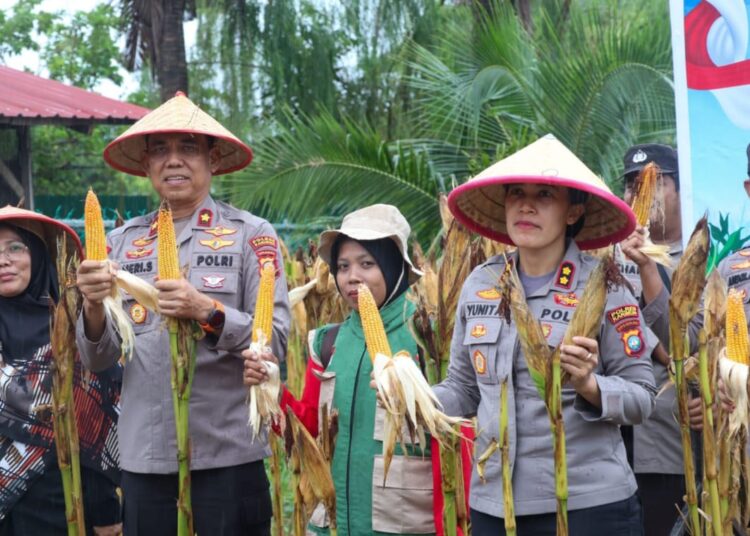 Panen Raya Jagung Serentak, Polres Karimun Dukung Ketahanan Pangan Nasional