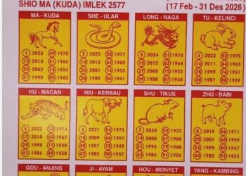 Makin Liar dan Tak Tersentuh! Togel JS Buka Lapak Baru di Bangun Sari dan Perumnas, Polresta Deli Serdang Terus Tutup Mata